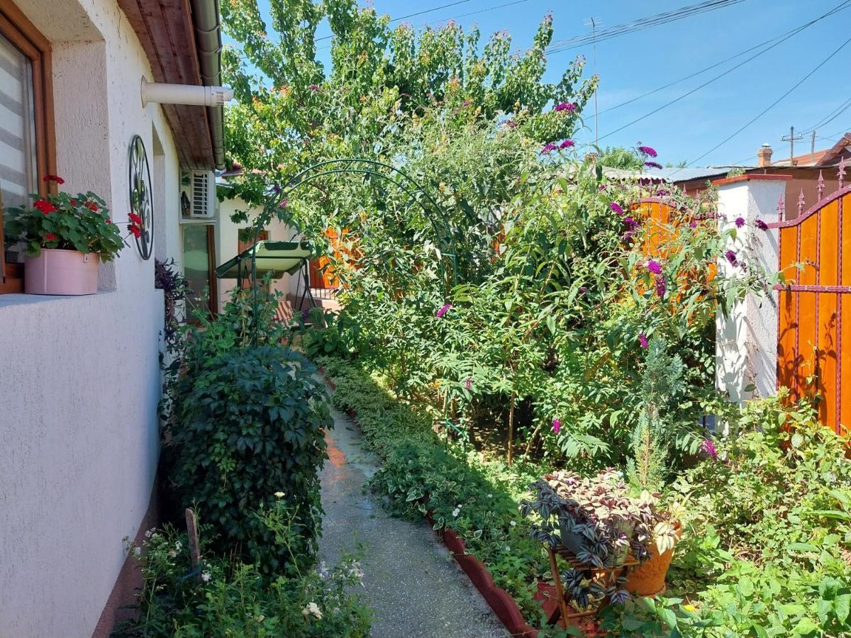 Casa Calin Villa Tulcea Eksteriør billede